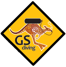 GS-Diving-Logo